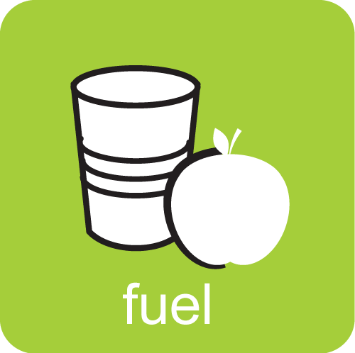 Fuel